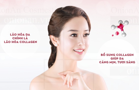 chiết xuất từ quả bơ